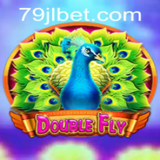 DoubleFly: An Engaging Dive into Action-Packed Gaming